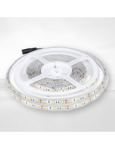 Strip Led MONO 12/24