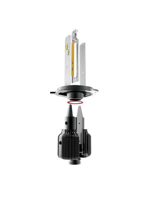 9/32V Halo Led Serie 3 Blade - (H4) - 20W - P43t - 2 pz - Scatola